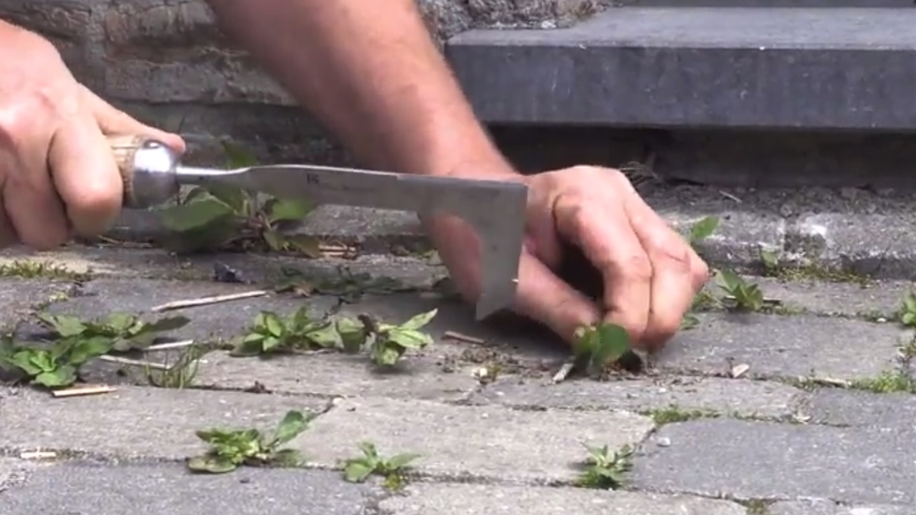 Onkruidverdelger video